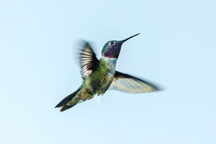 Photo by Andrea Reiman on Unsplash