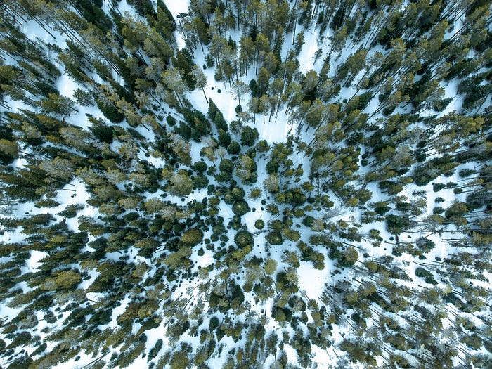 Photo by Jeremy Bishop on Unsplash