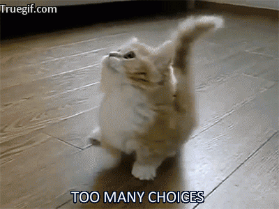 Cat overwhelmed