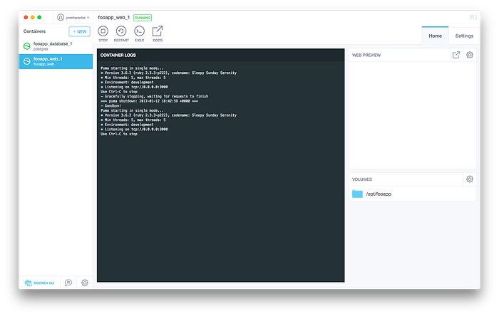 Kitematic showing both running containers