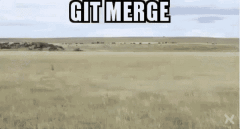 Git Merge GIF @ https://tenor.com/view/git-merge-gif-5920259